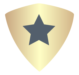 LionZon Transfer Logo